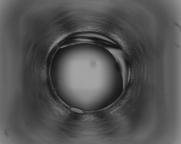 X0000093760392200710161227