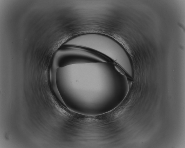 X0000093760393200710161227