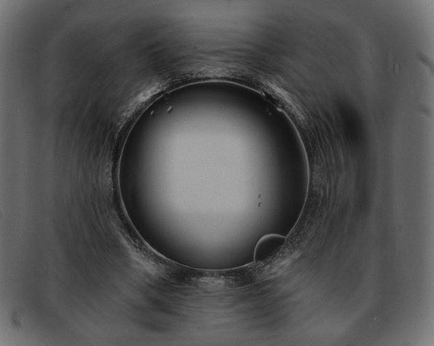 X0000093760394200710161227