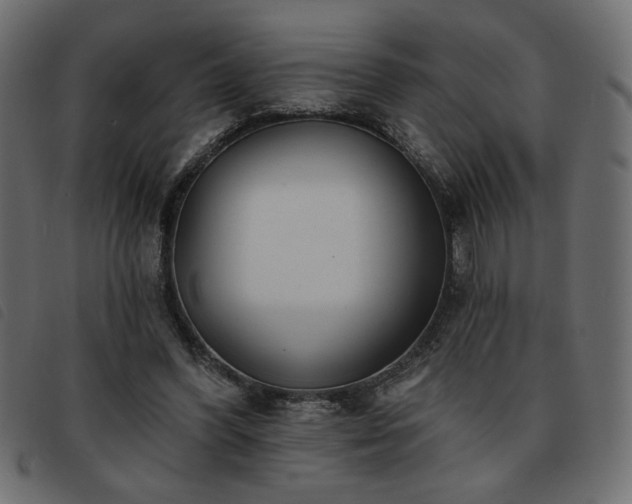 X0000093760396200710161227