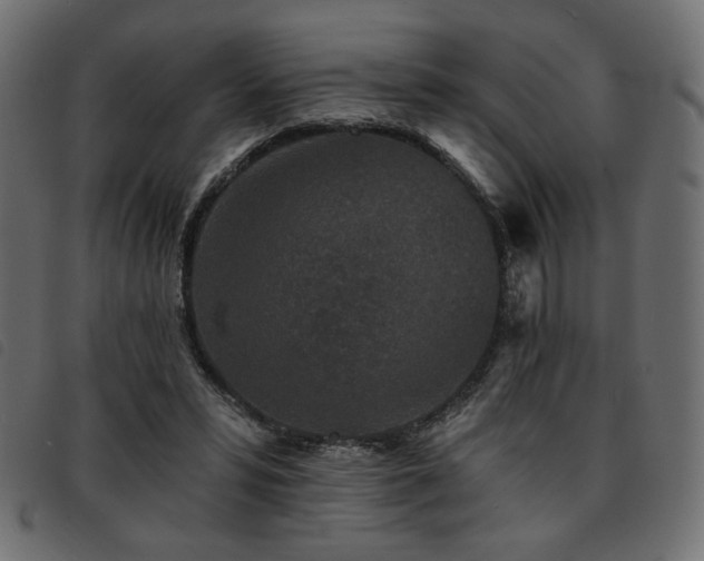 X0000093760399200710161227