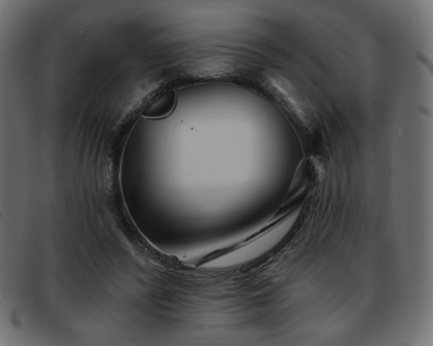 X0000093760400200710161227