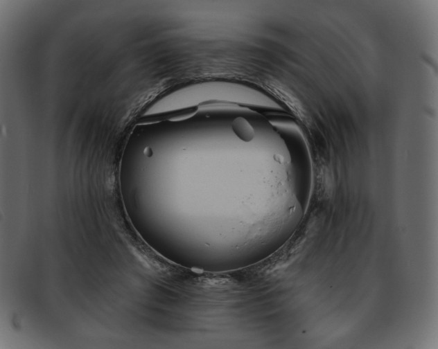 X0000093760401200710161227