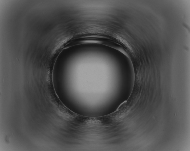 X0000093760403200710161227