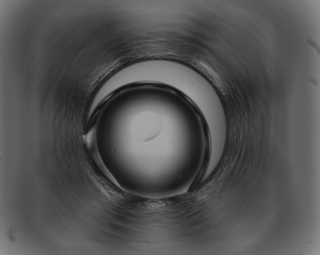 X0000093760405200710161227