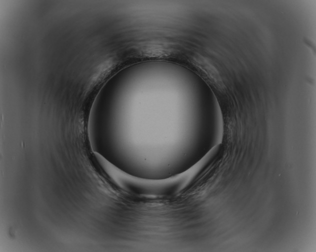 X0000093760407200710161226