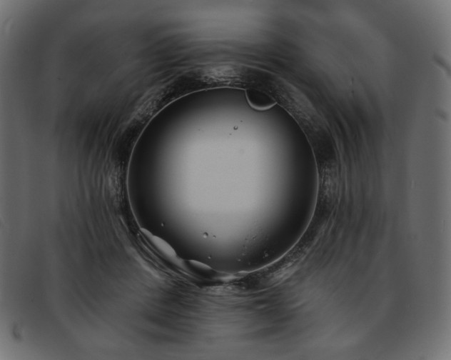X0000093760408200710161226