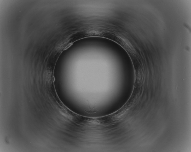 X0000093760409200710161226