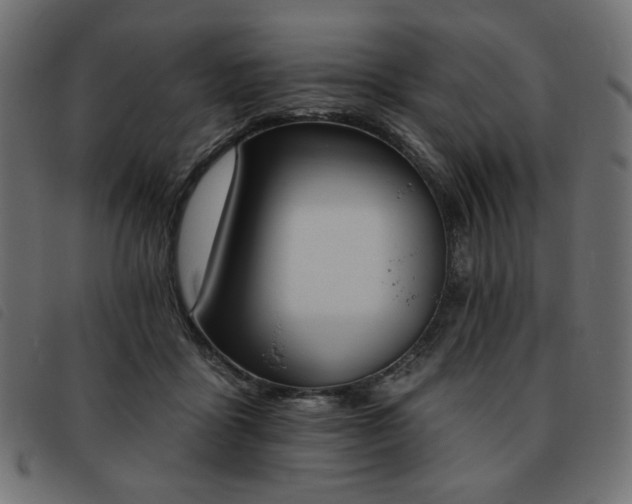 X0000093760411200710161226