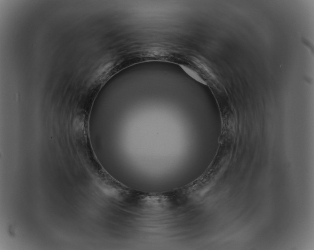 X0000093760415200710161226