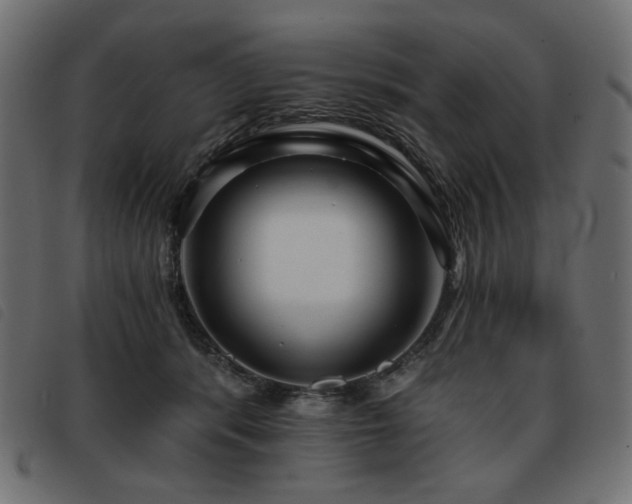 X0000093760416200710161226