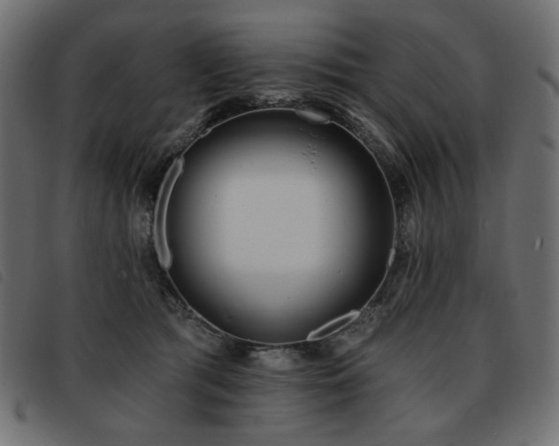 X0000093760417200710161226