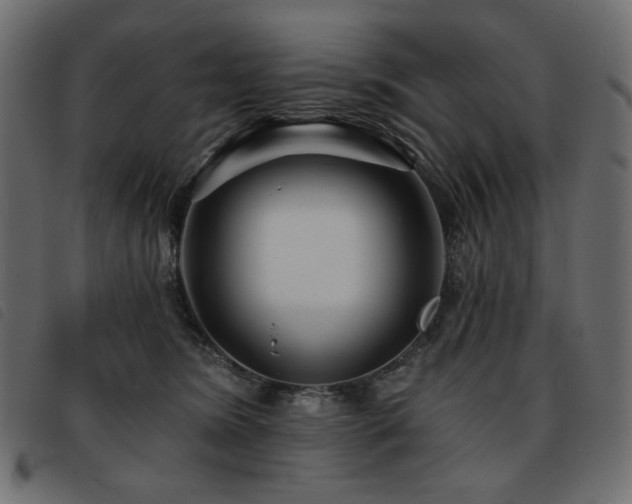X0000093760420200710161226