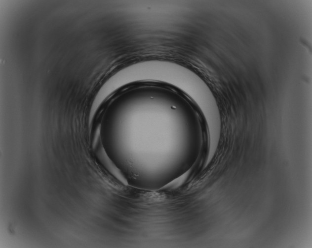 X0000093760421200710161226