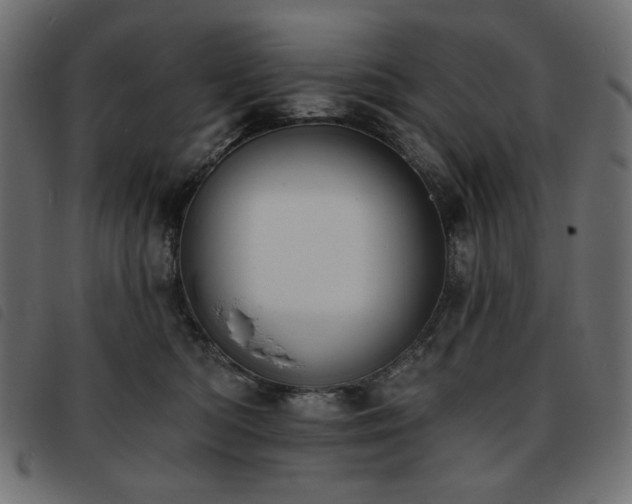 X0000093760422200710161226