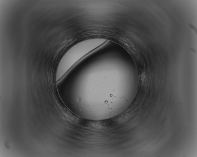 X0000093760423200710161226