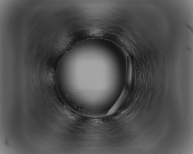 X0000093760424200710161226
