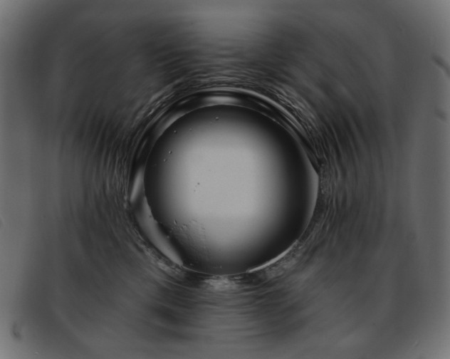 X0000093760425200710161226