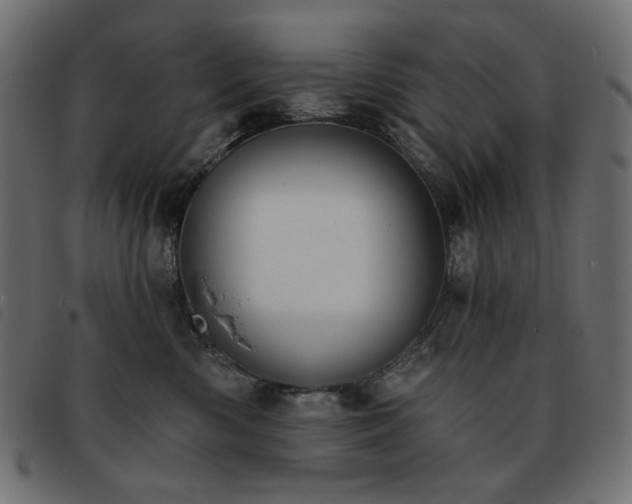 X0000093760426200710161226