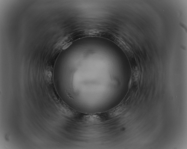 X0000093760427200710161226
