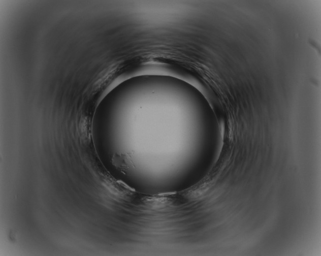 X0000093760428200710161226