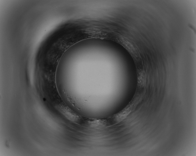 X0000093760430200710161226