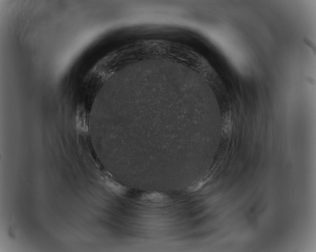 X0000093760431200710161226