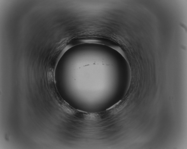 X0000093760432200710161226