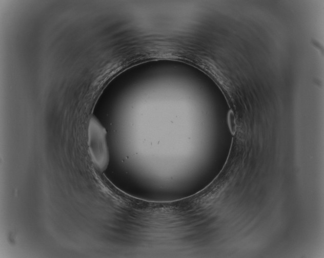X0000093760433200710161226
