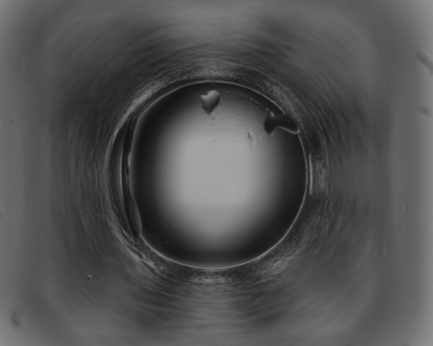 X0000093760435200710161226