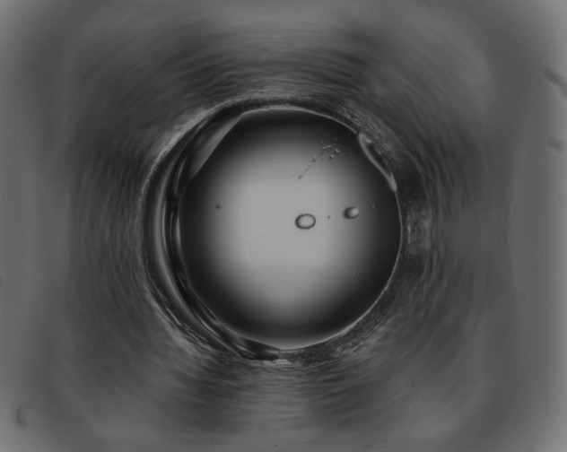 X0000093760436200710161226