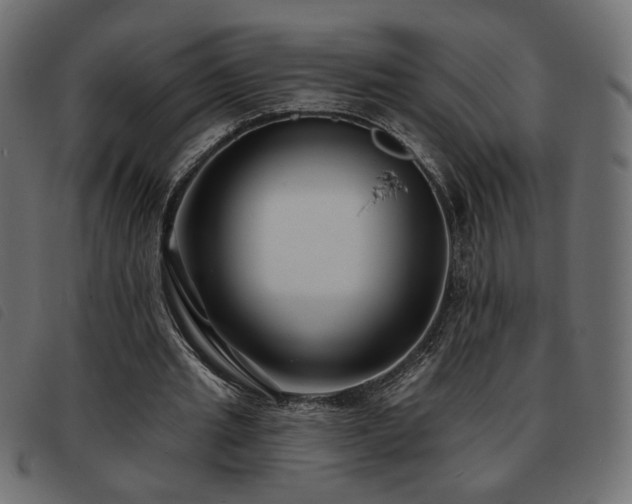 X0000093760437200710161226