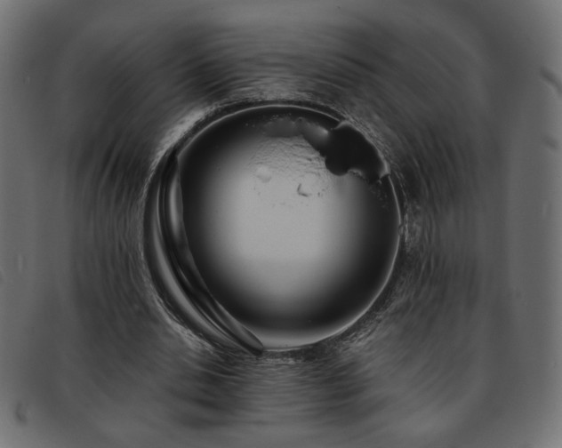 X0000093760438200710161226