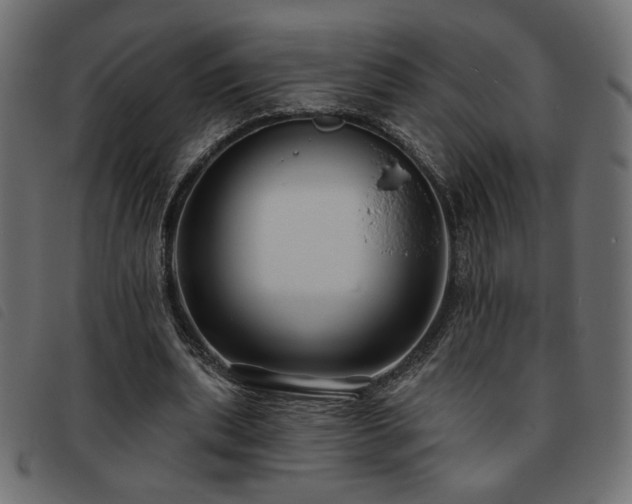 X0000093760439200710161226