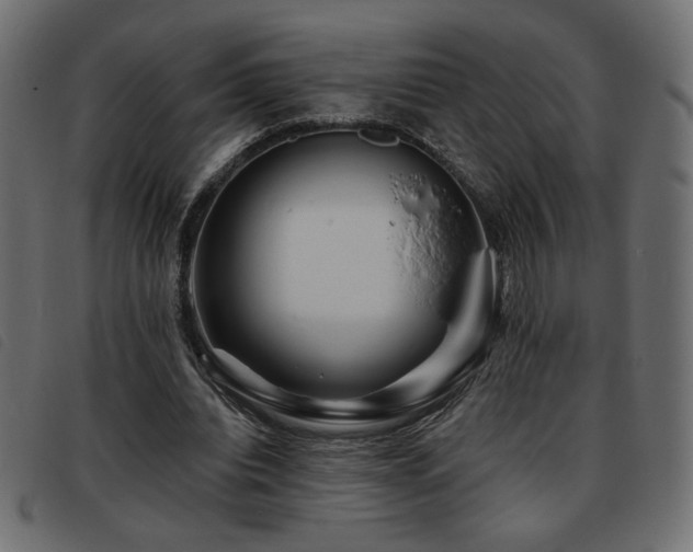 X0000093760440200710161226