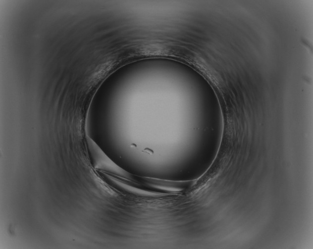 X0000093760441200710161226