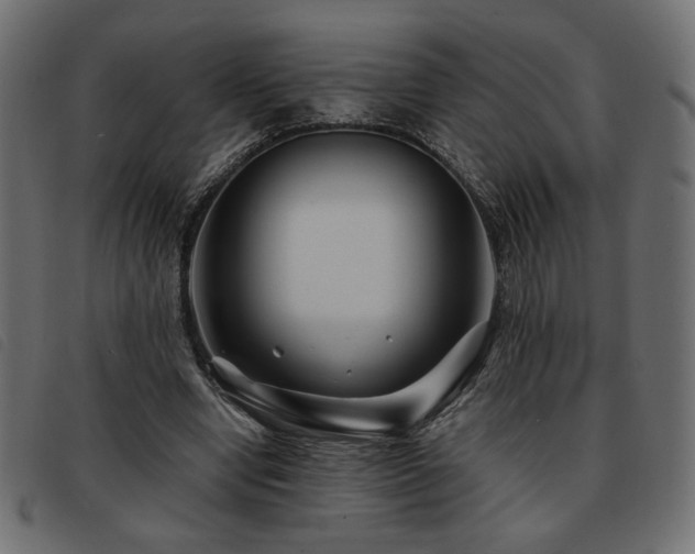 X0000093760442200710161226