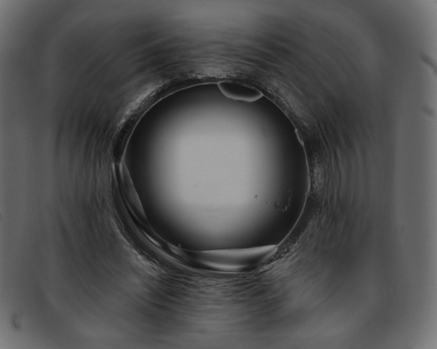 X0000093760444200710161226