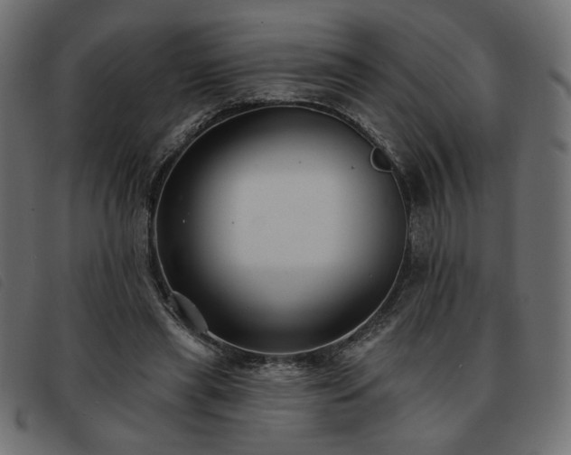 X0000093760445200710161226