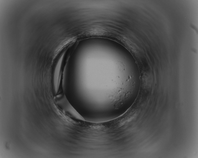 X0000093760446200710161226