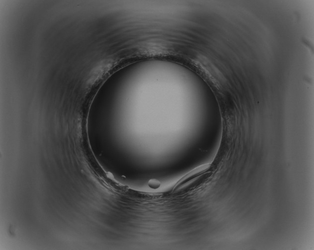 X0000093760447200710161226