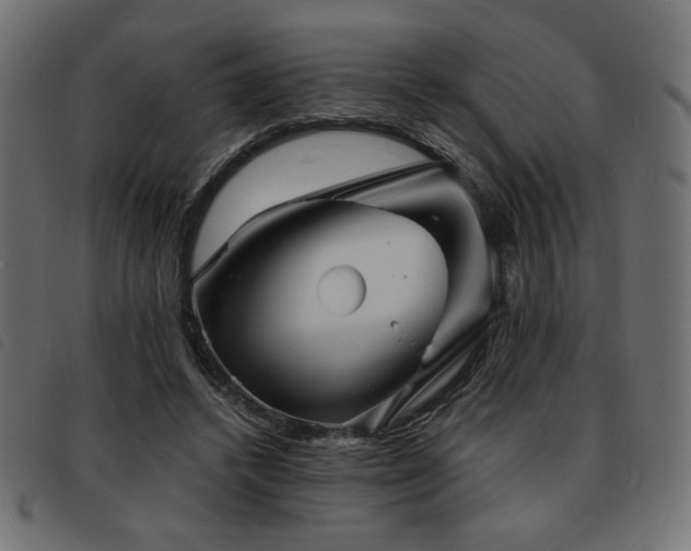 X0000093760448200710161226