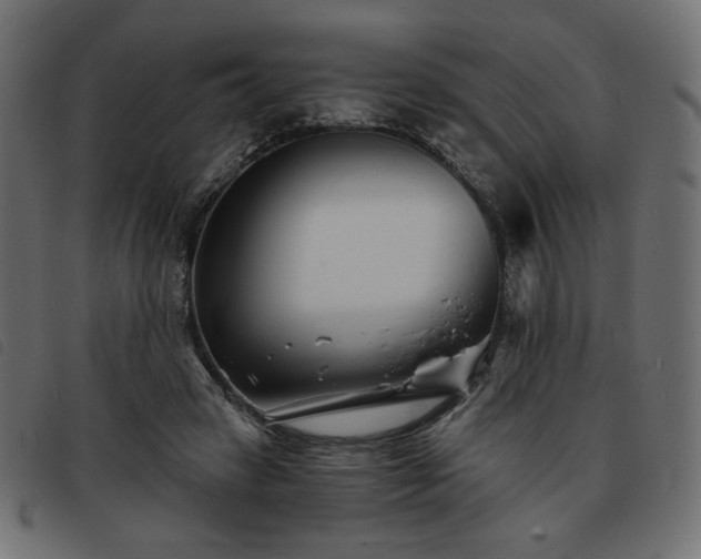 X0000093760449200710161226
