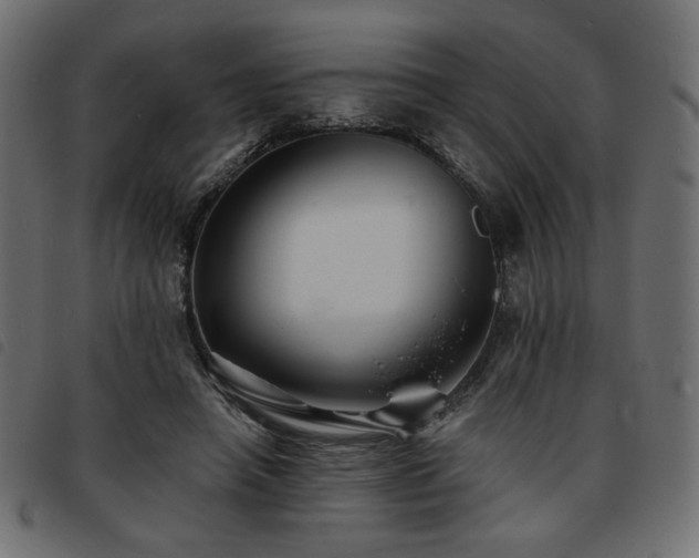 X0000093760450200710161226