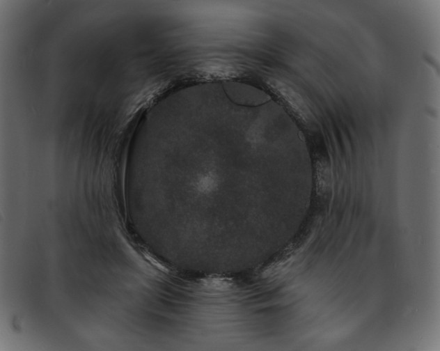 X0000093760451200710161226