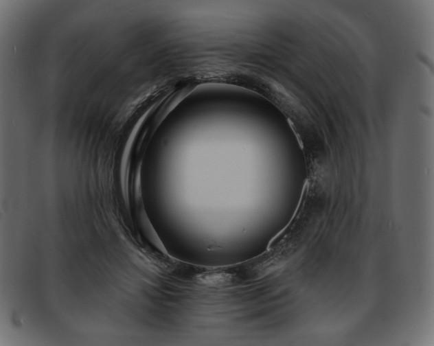 X0000093760452200710161226