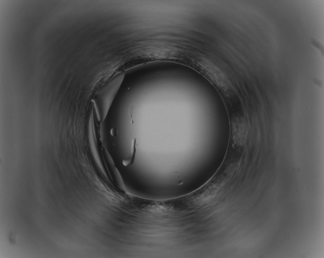 X0000093760453200710161226