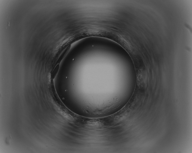 X0000093760454200710161226