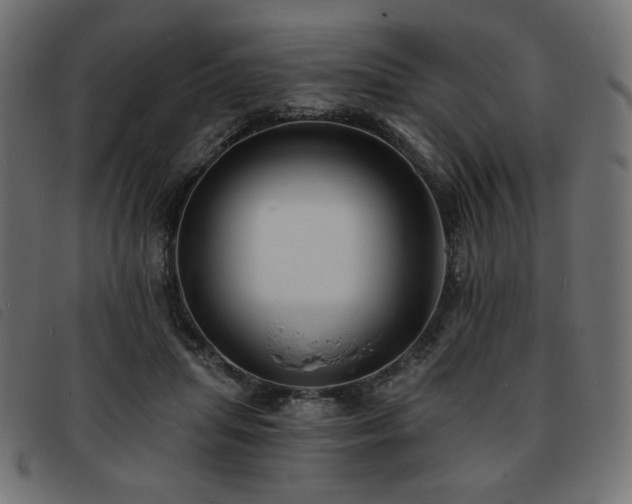 X0000093760455200710161226