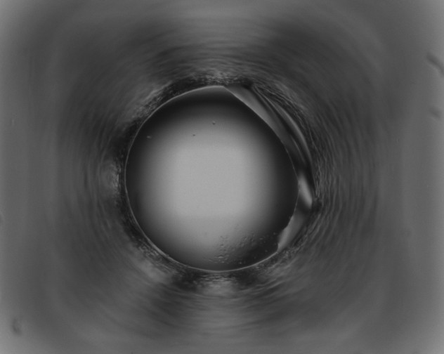 X0000093760456200710161226